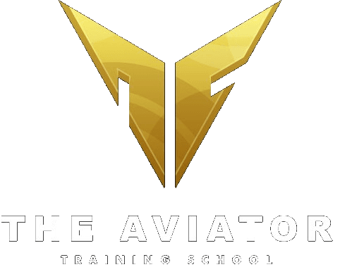 The Aviator Training School